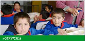 Servicios